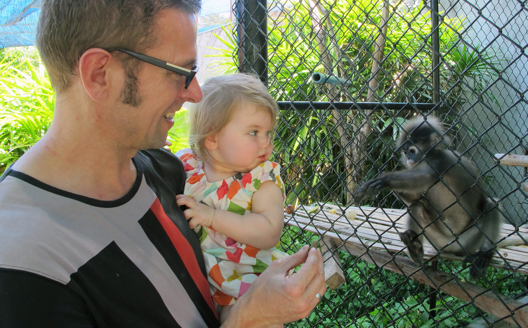 Самуи отдых с детьми, фото мини-зоопарка