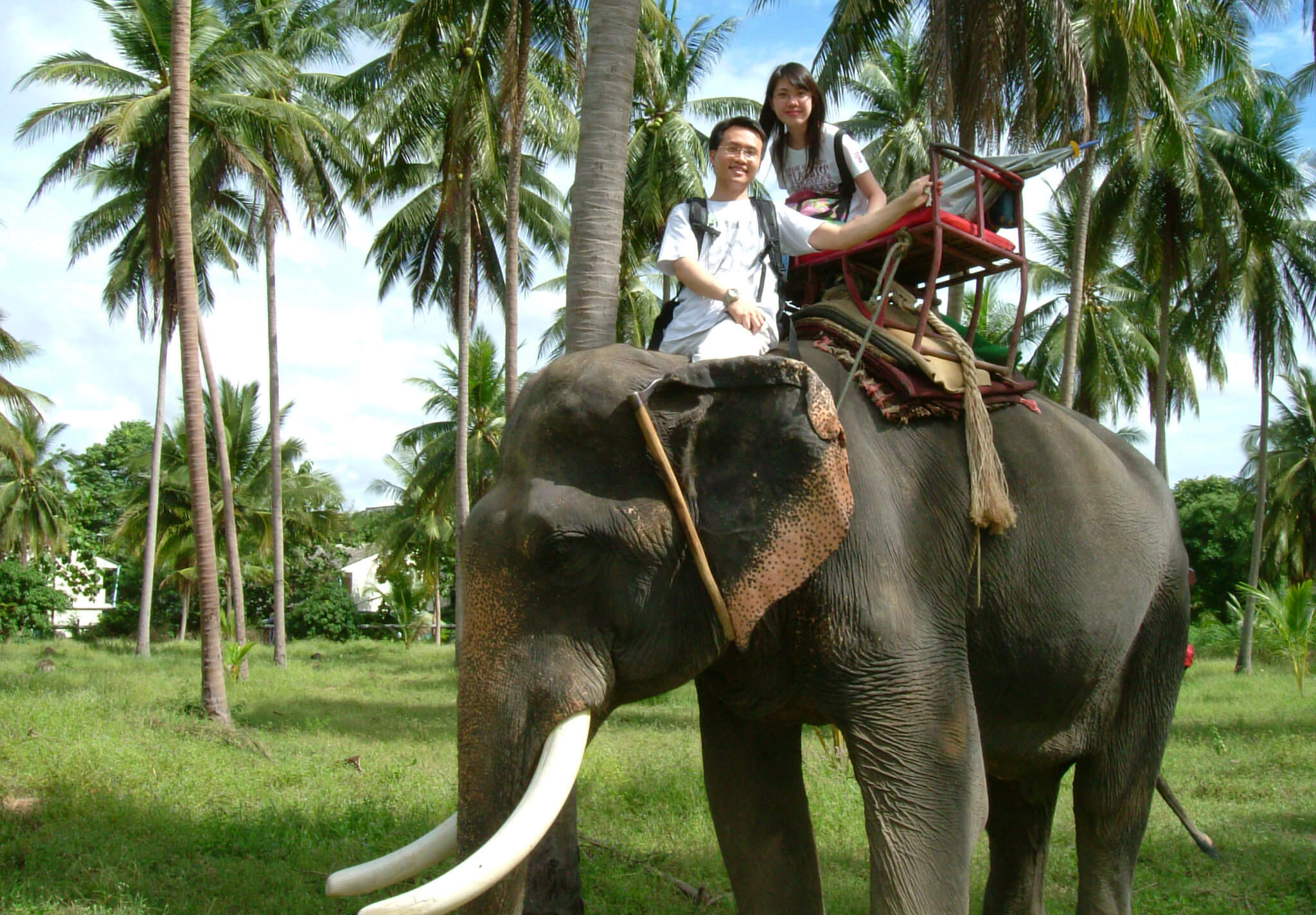 Самуи отдых с детьми, фото езды на слонах