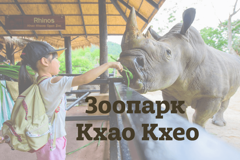 Фотография к статье "Зоопарк Кхао Кхео в Паттайе. Цены, фото, карта на русском языке"