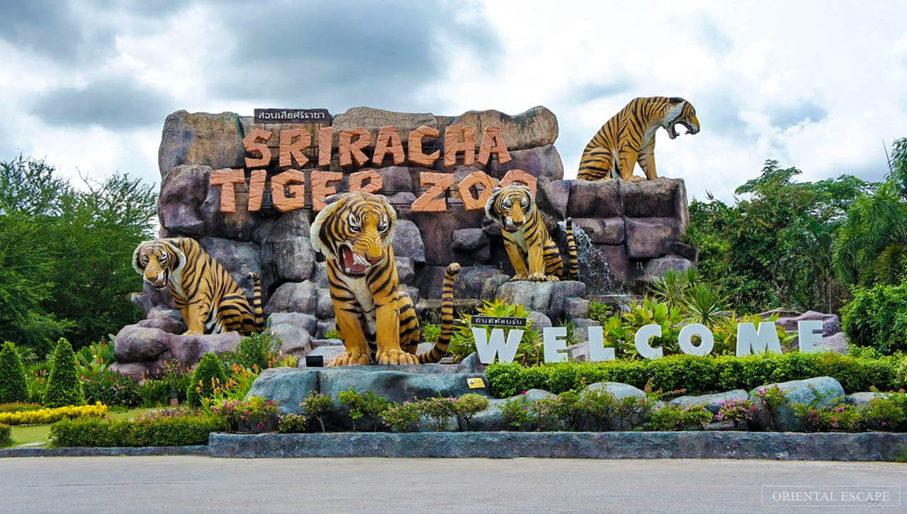 Фото зоопарка Sri Racha Tiger Zoo