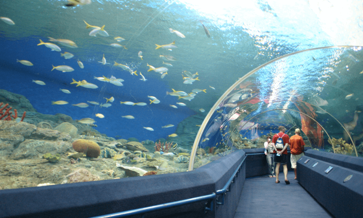 Under Water World Pattaya Photo