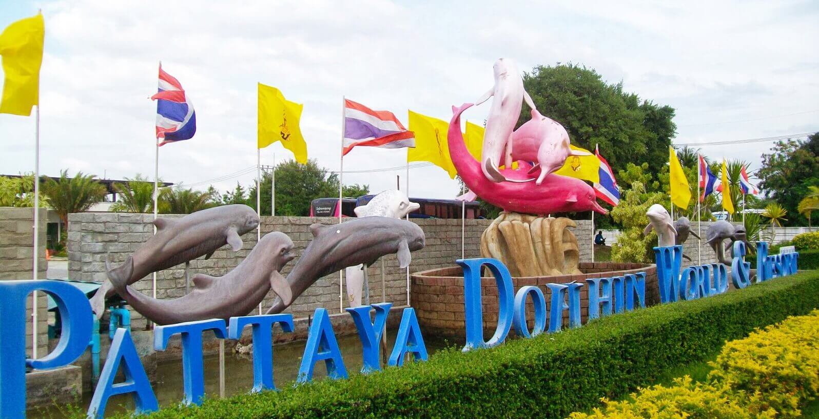 Фото дельфинария Pattaya Dolphin World