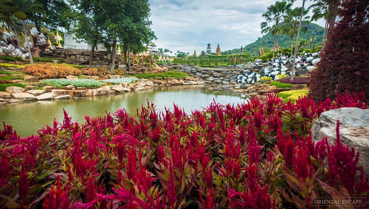 Фото тропического сада Нонг Нуч
