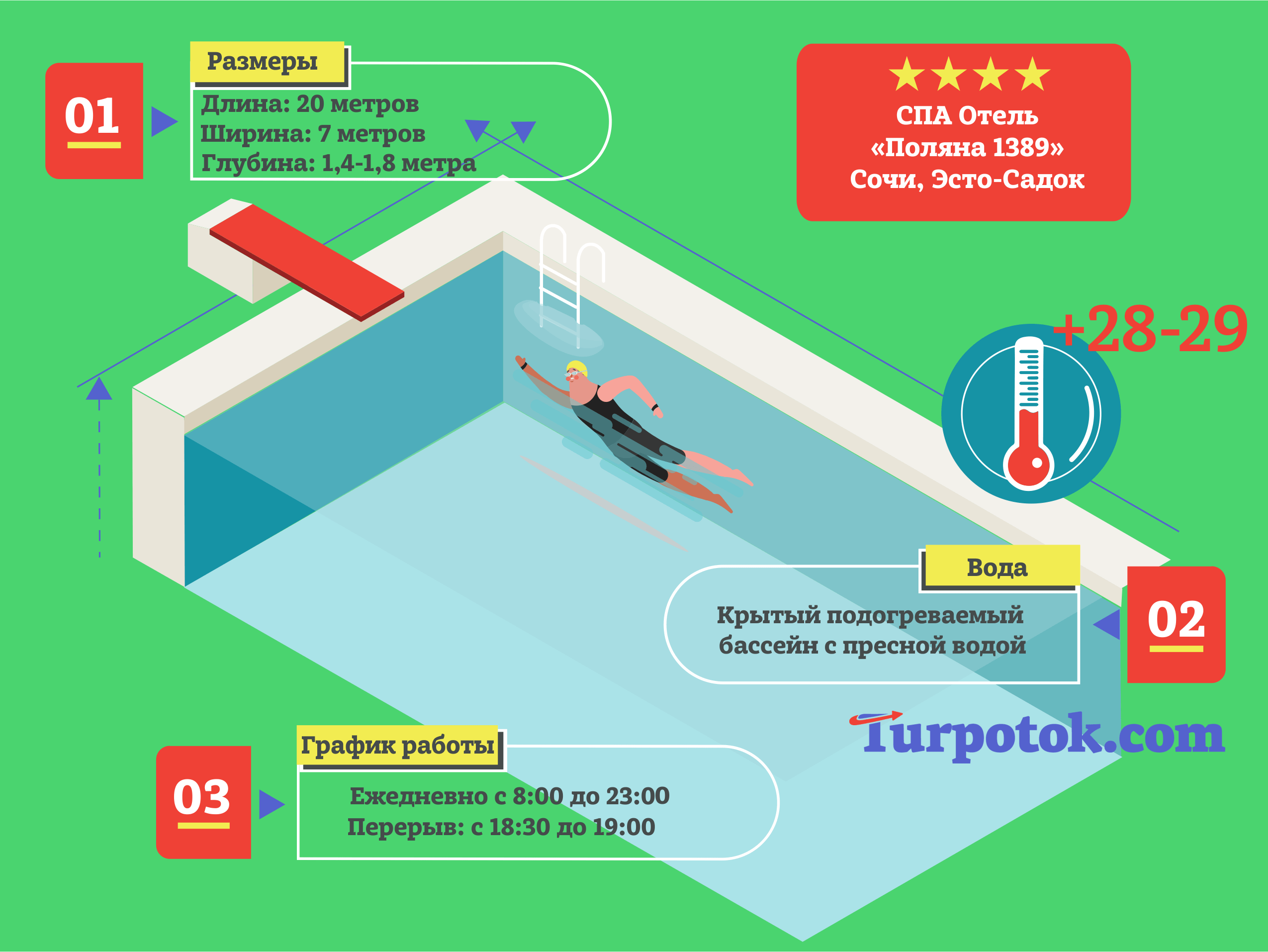 Инфографика про бассейн в гранд-отеле 