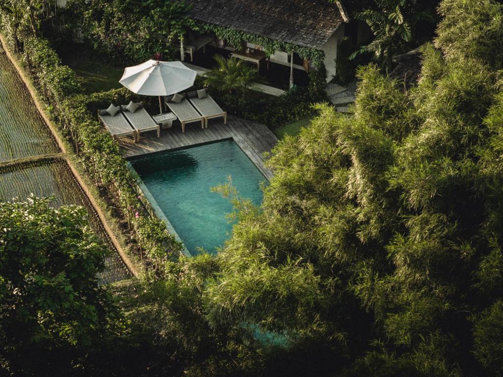 Modern boutique stay Magia de Uma in Canggu Magia de Uma (Bali, Canggu)